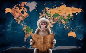 Exploring the World through Albino-Monkey.net Travel Archives: A Journey of Discovery